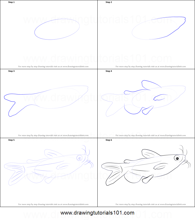 Catfish Drawing Step By Step at PaintingValley.com | Explore collection ...
