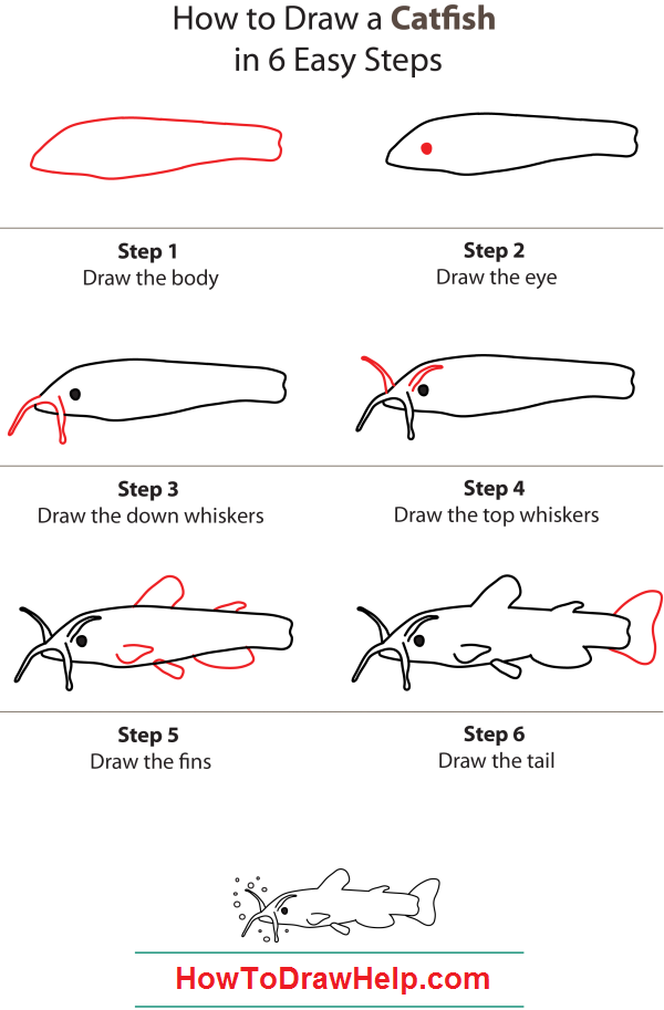 600x913 How To Draw A Catfish Step - Catfish Drawing Step By Step