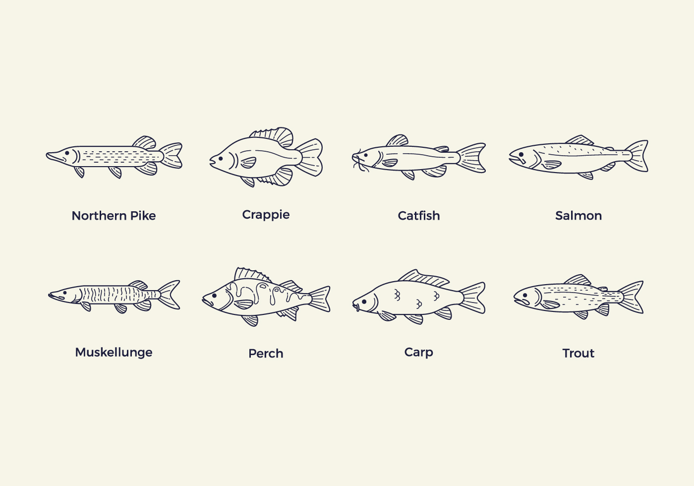 1400x980 Catfish Free Vector Art - Catfish Line Drawing