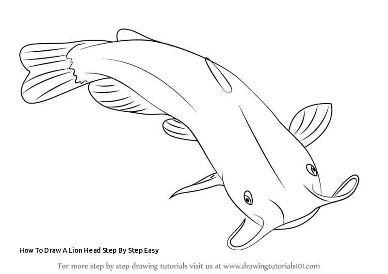800x566 How To Draw A Lion Head Step - Catfish Line Drawing