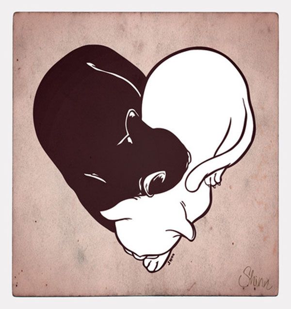 600x636 cats in art in cat doodle, cat art, cats - Cats In Love Drawing