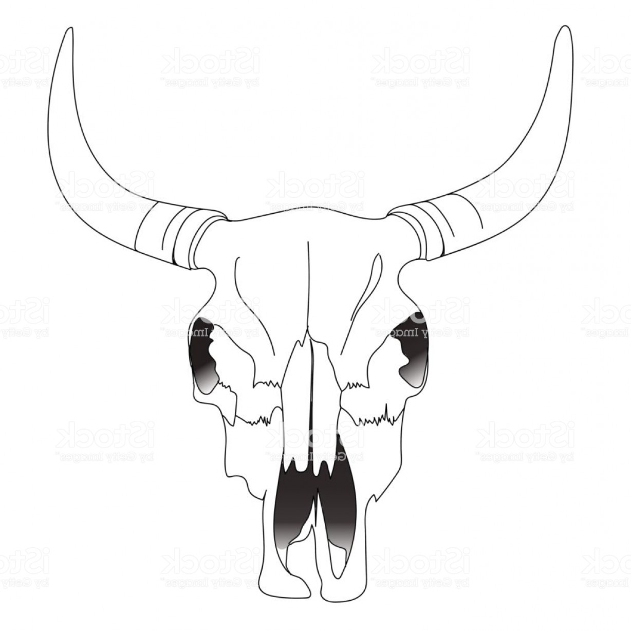 1228x1228 Bull Skull Vector Soidergi - Cattle Skull Drawing