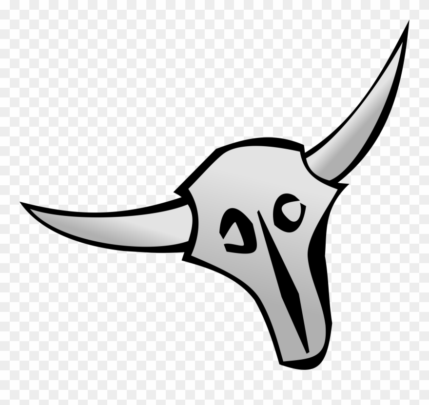880x831 all photo png clipart cattle bull skull drawing horn - Cattle Skull Drawing