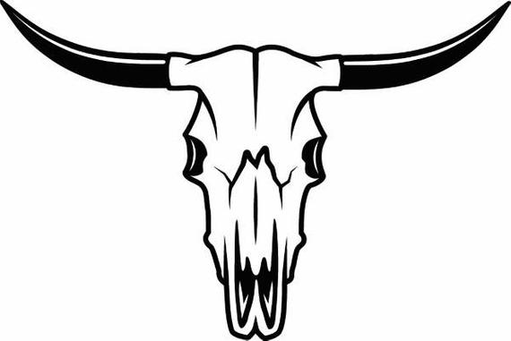 570x381 Bull Skull Skeleton Bones Horns Cowboy Country Western Cow Etsy - Cattle Skull Drawing