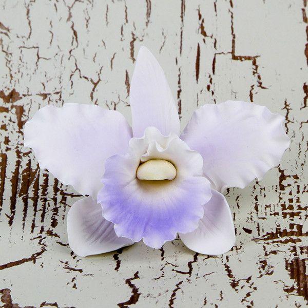 600x600 small cattleya orchids - Cattleya Orchid Drawing