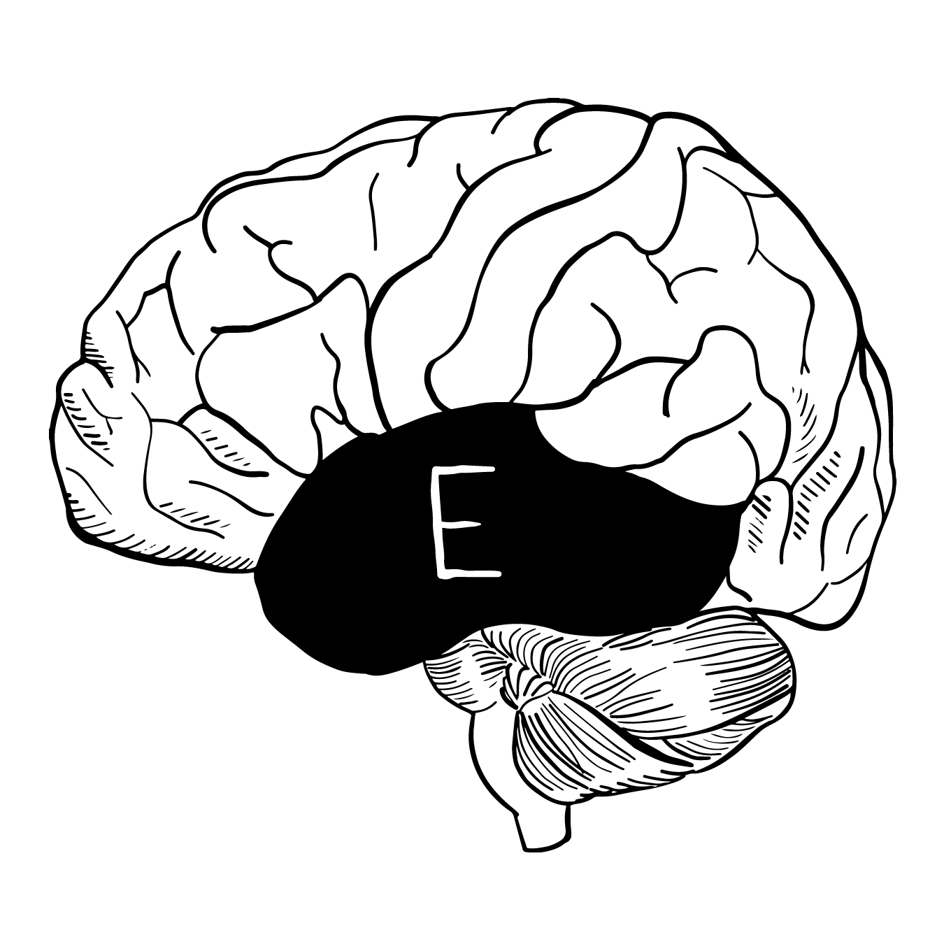 1350x1350 cauliflower drawing cabbage transparent png clipart free - Cauliflower Drawing