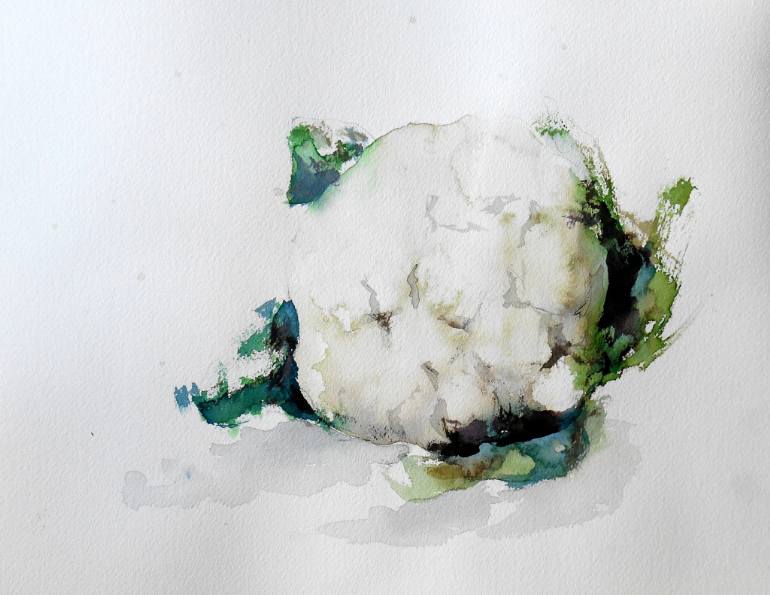 770x595 Cauliflower Drawing - Cauliflower Drawing