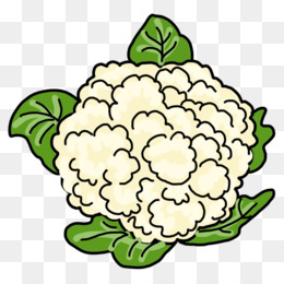 Cauliflower Drawing at PaintingValley.com | Explore collection of