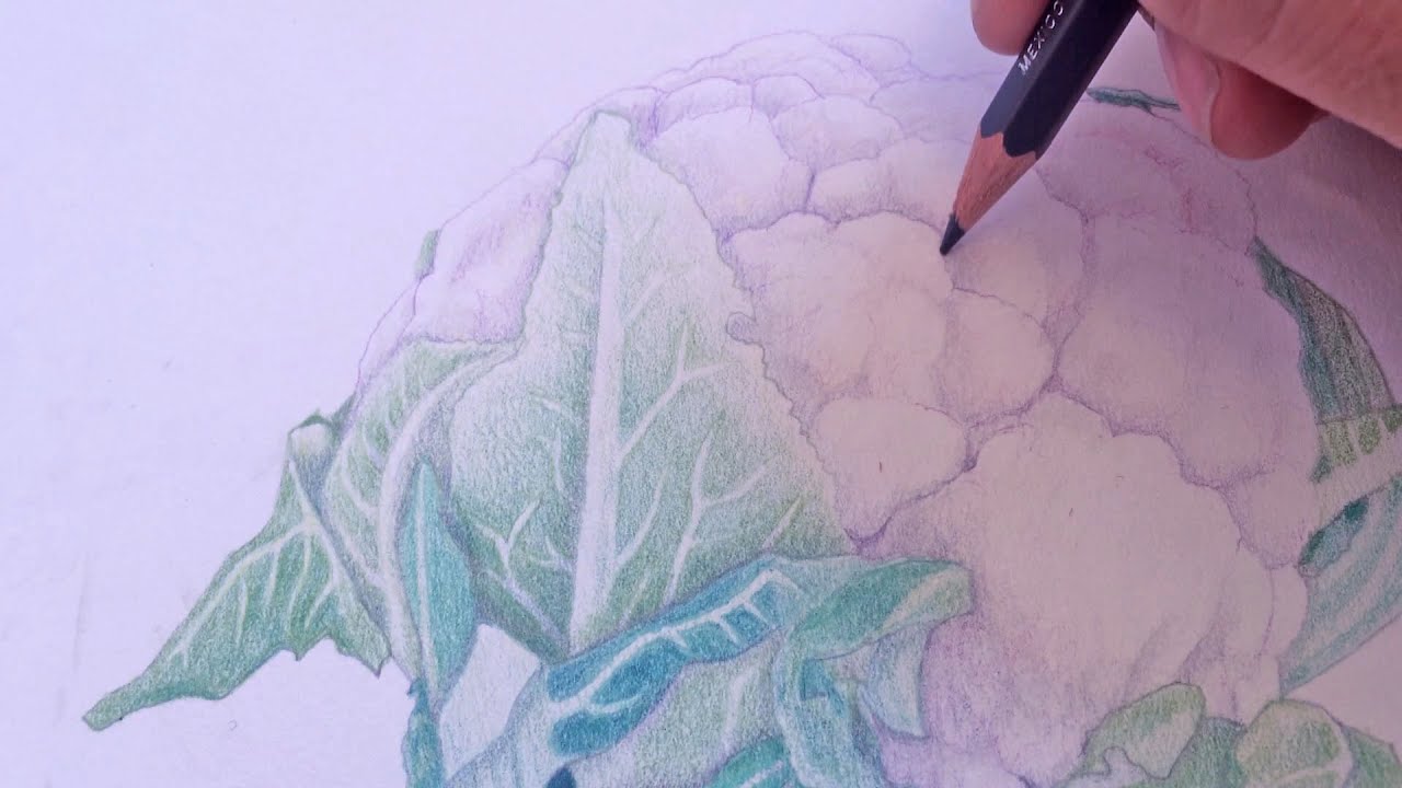 1280x720 Colored Pencil Drawing Inspired - Cauliflower Drawing