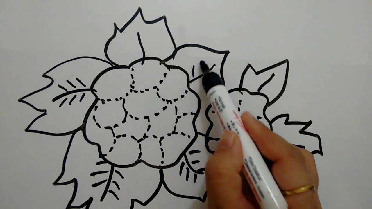 1280x720 How To Draw Cauliflower - Cauliflower Drawing
