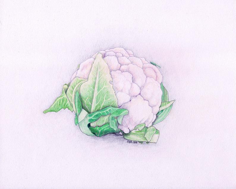 794x635 Cauliflower Colored Pencil Drawing Original Etsy - Cauliflower Drawing