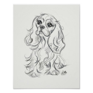307x307 cavalier king charles spaniel drawing gifts on zazzle - Cavalier King Charles Spaniel Drawing