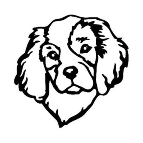 480x480 cavalier king charles spaniel head car sticker the top dog deals - Cavalier King Charles Spaniel Drawing