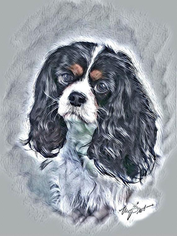570x760 cavalier king charles spaniel digital painting etsy - Cavalier King Charles Spaniel Drawing