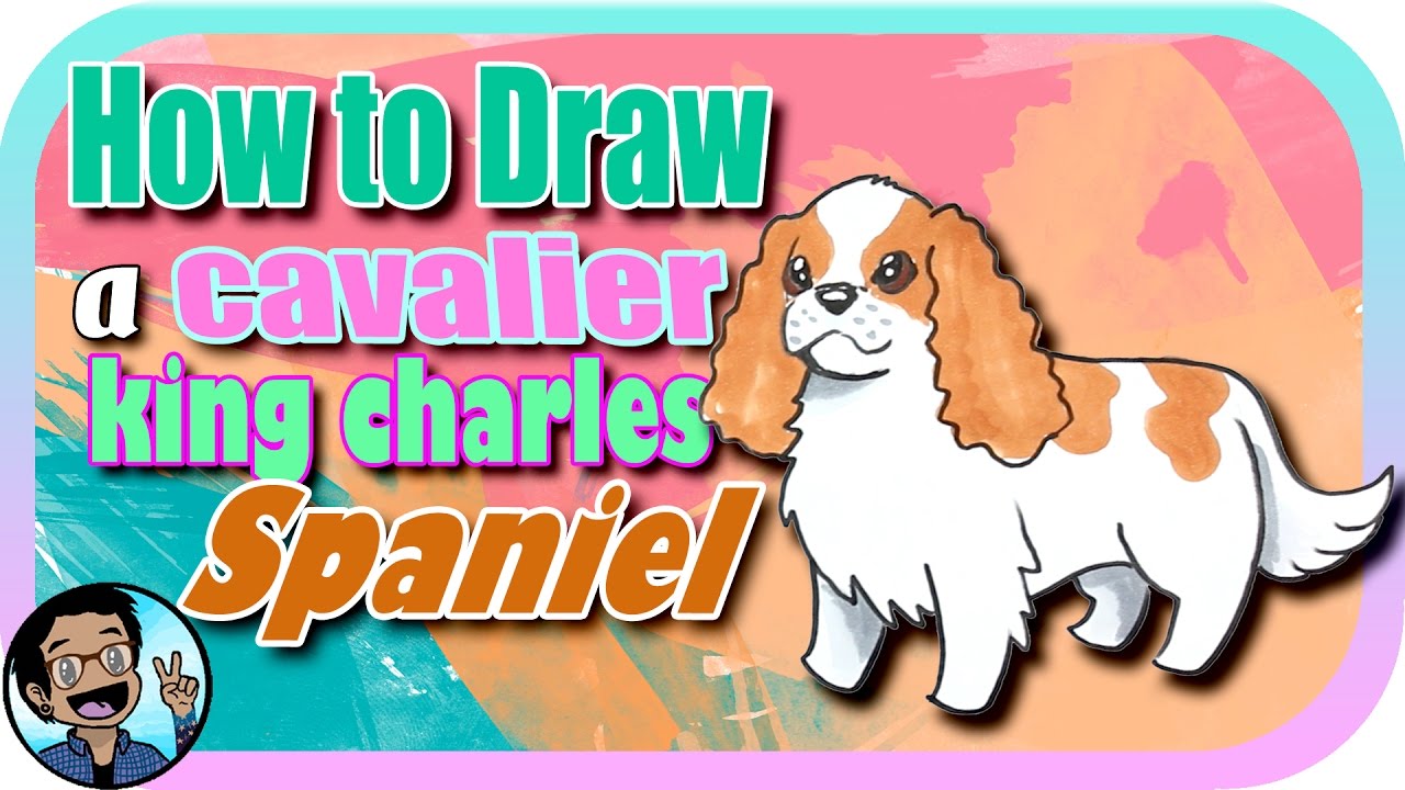 Cavalier King Charles Spaniel Drawing at Explore