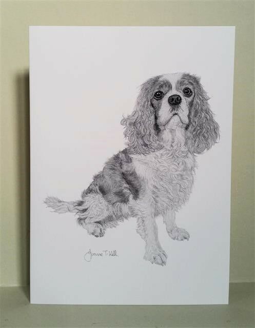 497x640 cavalier king charles spaniel card - Cavalier King Charles Spaniel Drawing