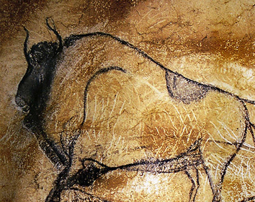 1011x800 freedom essay cave paintings show our original sensitivity - Cave Drawings
