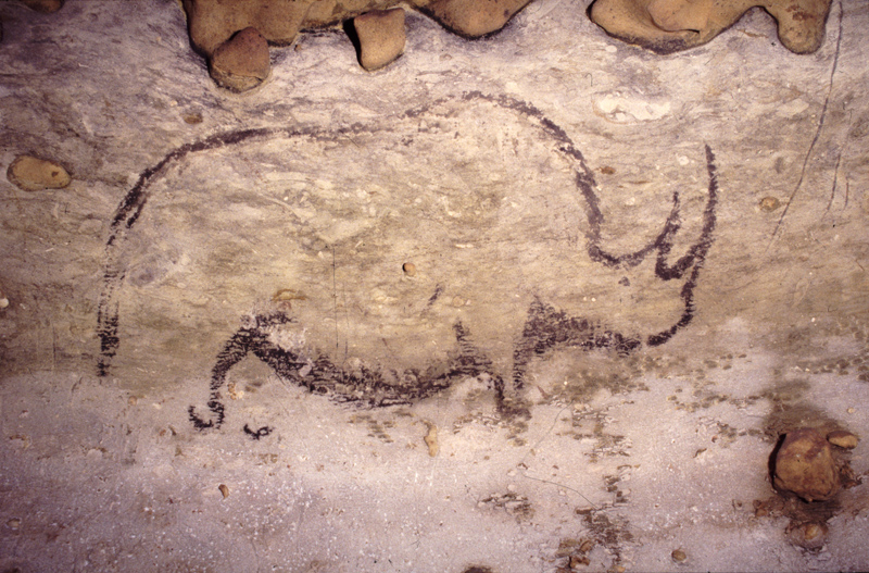 800x527 rouffignac cave - Cave Drawings