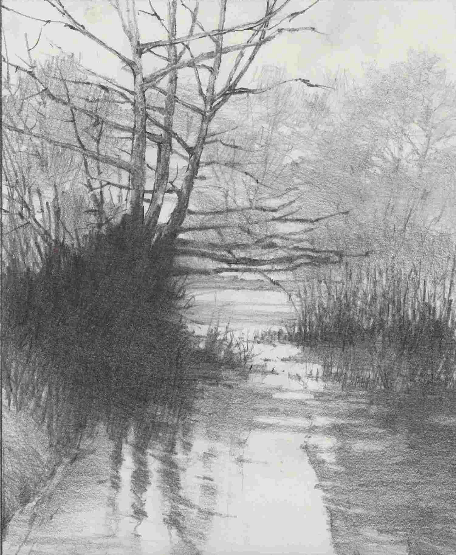 1501x1826 Graphite Landscape Drawings - Cedar Drawings