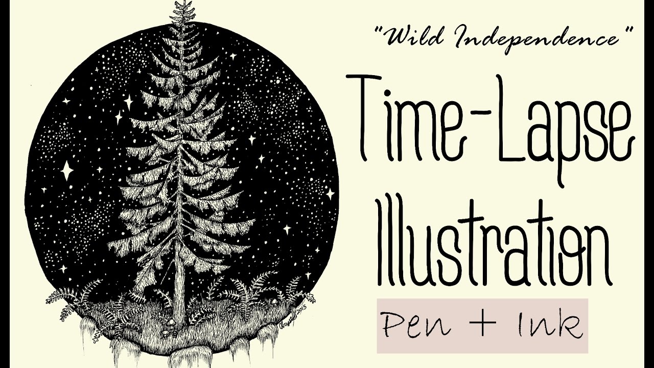 1280x720 Time Lapse Art Pen + Ink Cedar Tree Drawing - Cedar Drawings