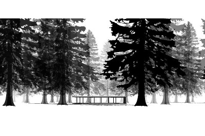 400x266 Western Red Cedar Tree For Revit - Cedar Drawings