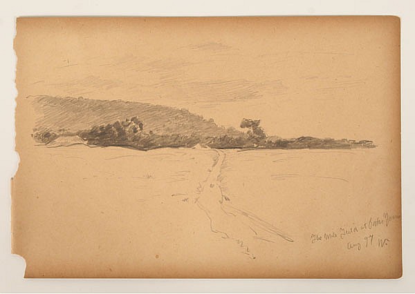 600x426 William Forsyth - Cedar Drawings