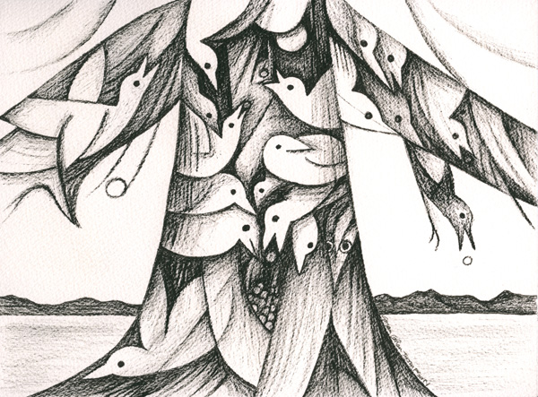 600x443 Drawings Susan Cohen Thompson - Cedar Drawings