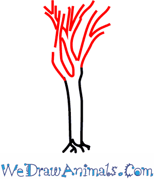 300x350 How To Draw A Cedar Tree - Cedar Tree Drawing