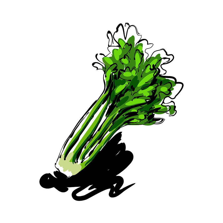 900x900 Celery Drawing - Celery Drawing