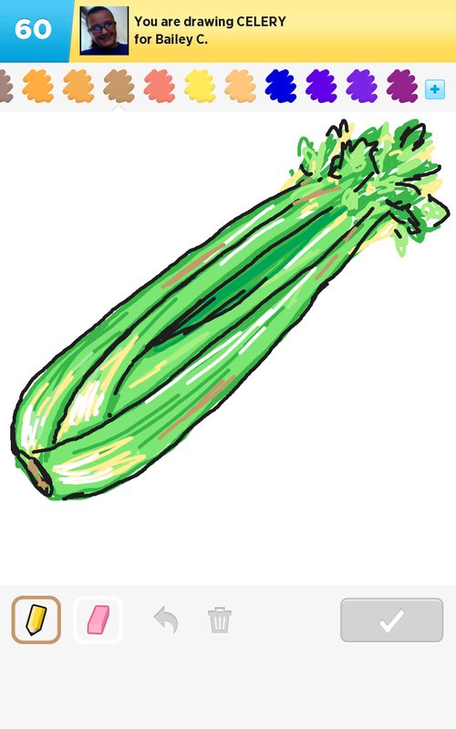 500x800 Celery Drawings - Celery Drawing