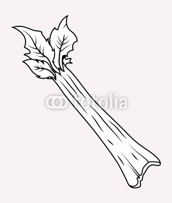 338x400 Celery Vector Drawing - Celery Drawing