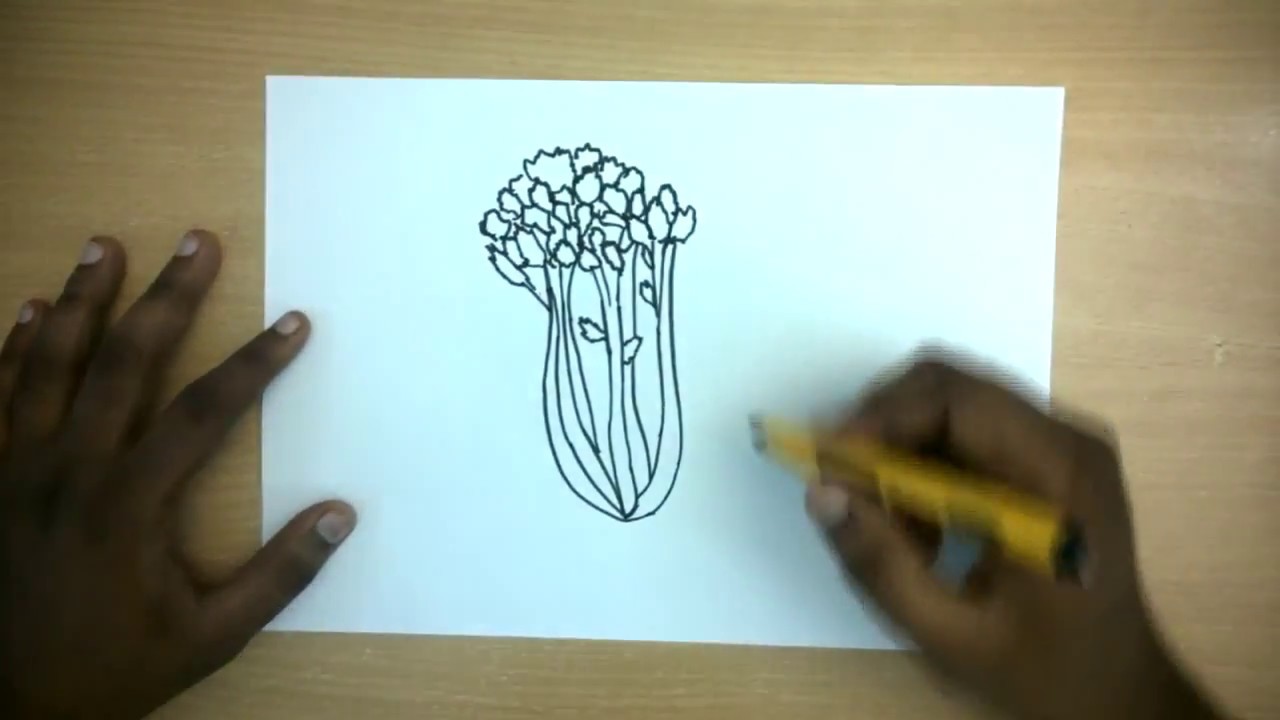 1280x720 How To Draw A Celery Easy Step - Celery Drawing