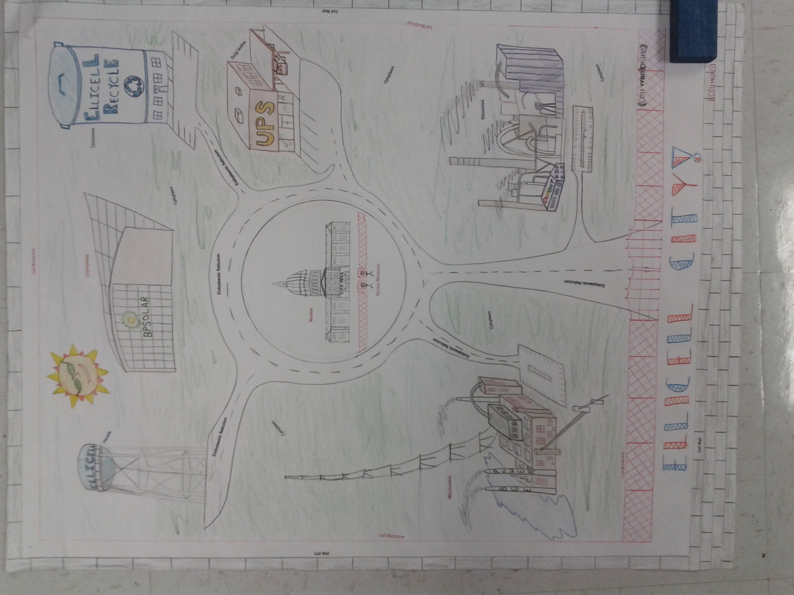 2560x1920 Cell City Project - Cell City Drawing