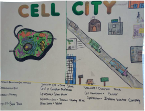 289x221 Science - Cell City Drawing