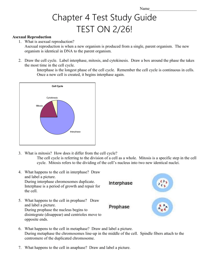 791x1024 Draw The Cell Cycle - Cell Cycle Drawing