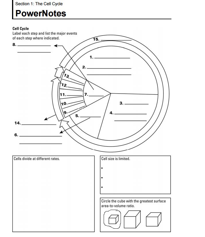 Mitosis Coloring Worksheet Answer Key Biology Corner + My PDF