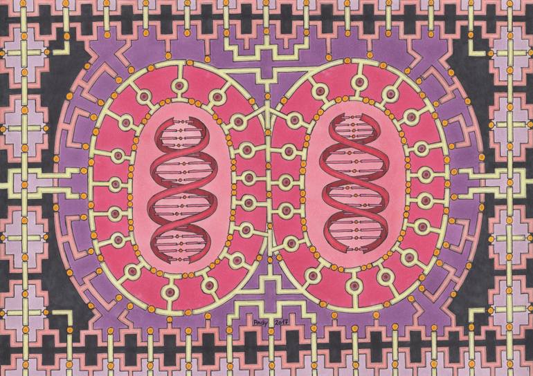 770x544 Cell Division Drawing - Cell Division Drawing