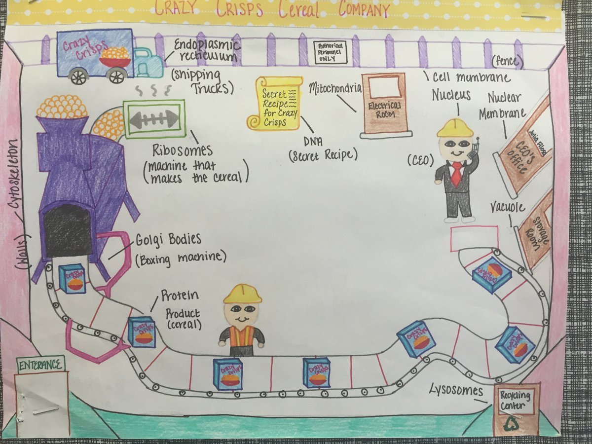 1200x900 Drawing Project Cell City - Cell Membrane Drawing Project