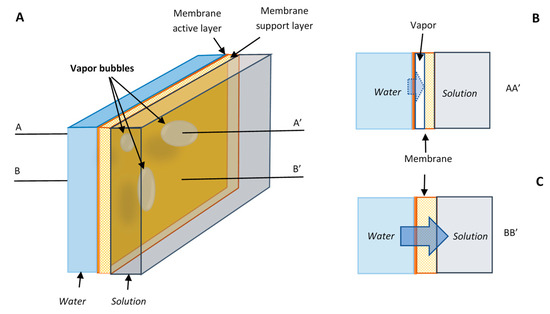 550x314 Membranes An Open Access Journal From Mdpi - Cell Membrane Transport Drawing Project