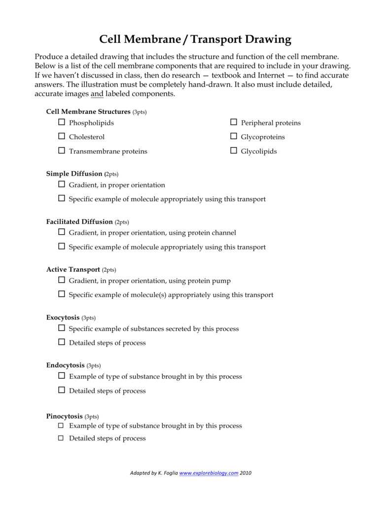 791x1024 Cell Membrane Transport Drawing - Cell Membrane Transport Drawing Project