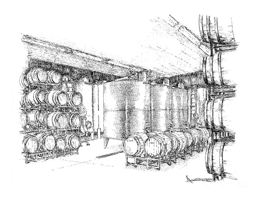 900x691 Wine Cellar Drawings Fine Art America - Cellar Drawing