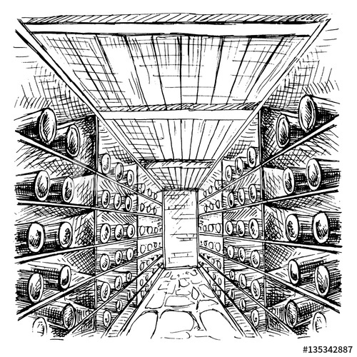 500x500 wine cellar full of wine bottles in graphic style hand drawn - Cellar Drawing
