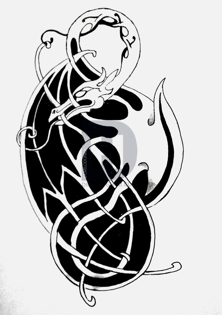 721x1024 Celtic Dragon Drawing - Celtic Dragon Drawing