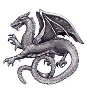 175x183 Dragon Wings Celtic Inspired Stylized Graphite Pencil Drawing - Celtic Dragon Drawing