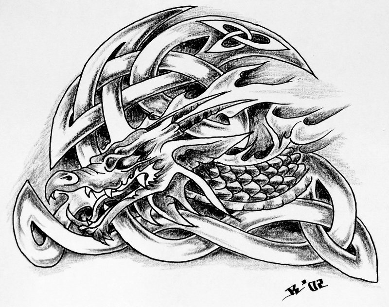 Celtic Dragon Drawing at Explore collection of