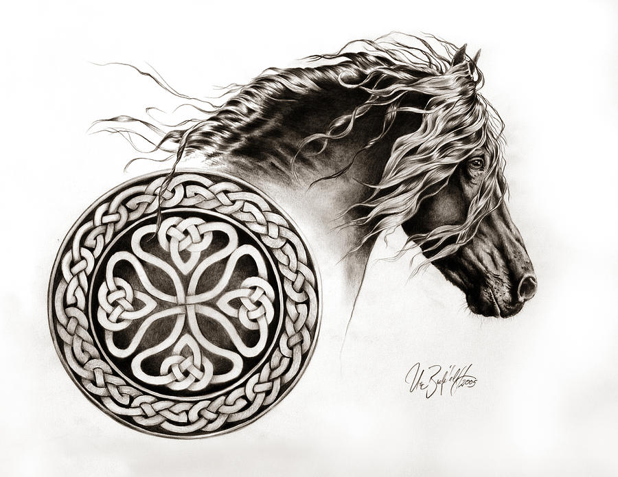 900x695 celtic friesian drawing - Celtic Drawings