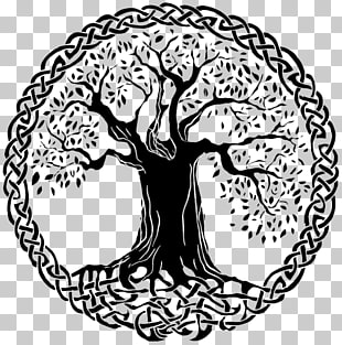 310x313 Celtic Tree Png Cliparts For Free Download Uihere - Celtic Tree Of Life Drawing