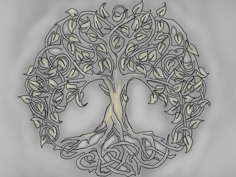 800x600 The Celtic Tree Of Life Roots In Ireland And Beyond - Celtic Tree Of Life Drawing