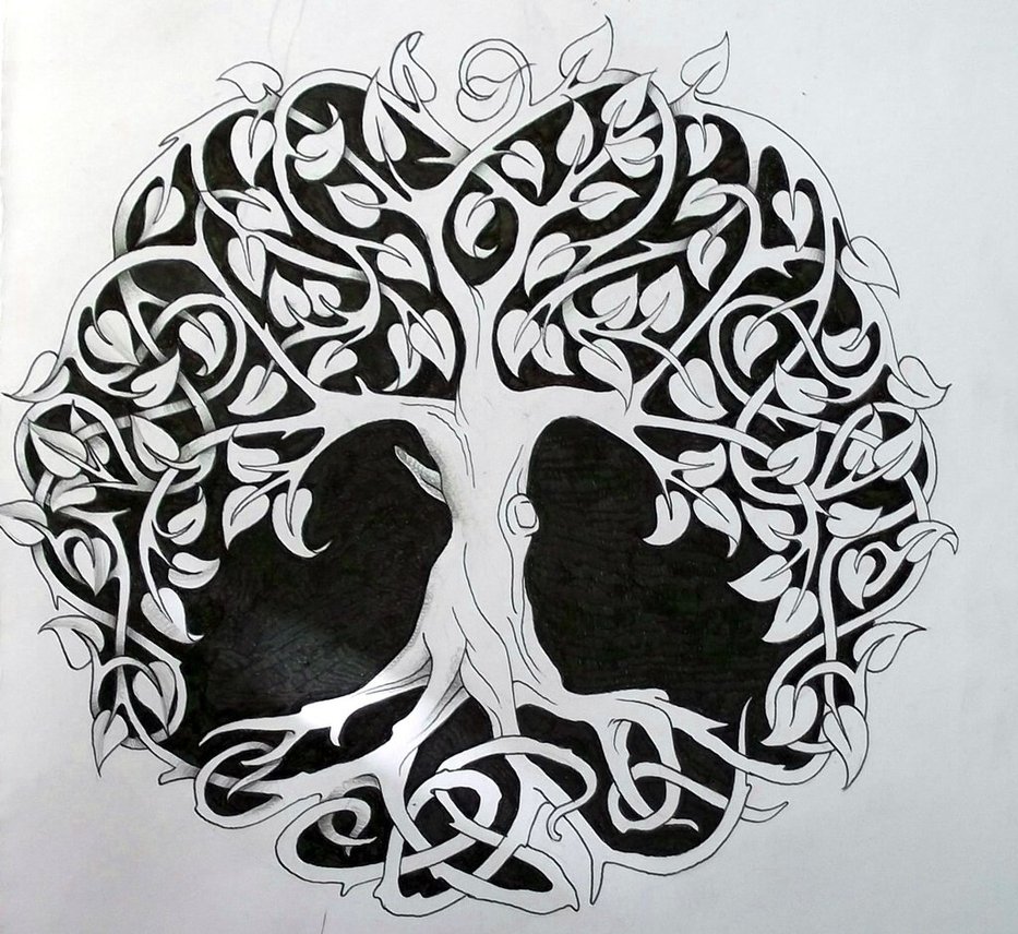 933x856 Celtic Tree Of Life Shared - Celtic Tree Of Life Drawing