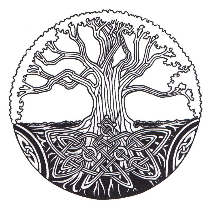 736x736 Free Celtic Tree Of Life Clipart - Celtic Tree Of Life Drawing